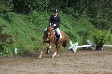 Bild 113 - WBO-Turnier am 18.9.11